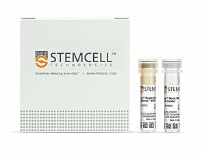 EasySep™ Mouse NK Cell Isolation Kit|19855