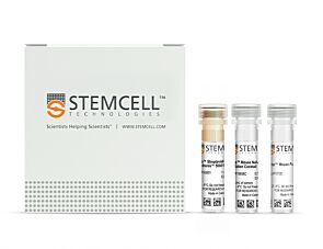 EasySep™ Mouse Naïve CD8+ T Cell Isolation Kit