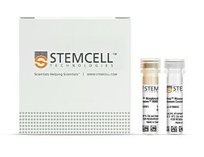EasySep™ Mouse Pan-DC Enrichment Kit II