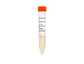 Human Peripheral Blood Mononuclear Cells, Fresh