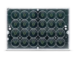 BioCircuit MEA™ 24-Well Plate (Lid On)
