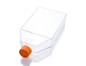 Cell Culture Flask, 150 cm²