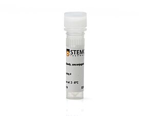 Anti-Human Epithelial Cell Antibody, Clone 5E11.3.1