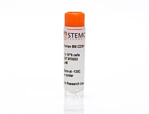 Human Bone Marrow CD36+ Cells, Frozen