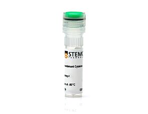 Human Recombinant FGF-7 (KGF)