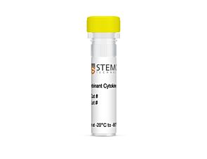 Mouse Recombinant M-CSF