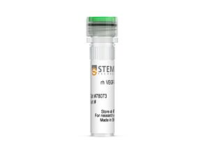 Human Recombinant VEGF-165