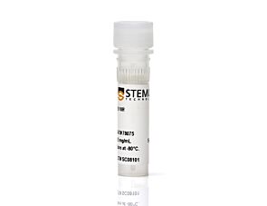 Recombinant B18R Protein
