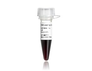 DNA Loading Dye
