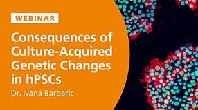 Consequences of Culture-Acquired Genetic Changes in Human Pluripotent Stem Cells