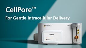 CellPore™: For Gentle Intracellular Delivery