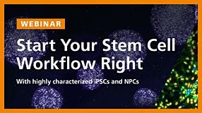 Highly Characterized Human iPSCs and NPCs for Downstream Differentiation Applications