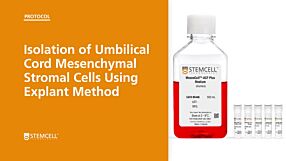 Isolation of Umbilical Cord Mesenchymal Stromal Cells Using Explant Method