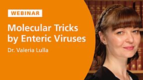 Molecular Tricks of Neurotropic Intestinal Viruses