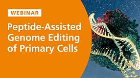 Peptide-Assisted Genome Editing of Primary Cells
