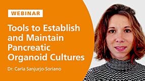 Tools to Establish and Maintain Pancreatic Organoid Cultures