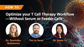 How to Optimize Your T Cell Therapy Workflow—Without the Use of Serum or Feeder Cells