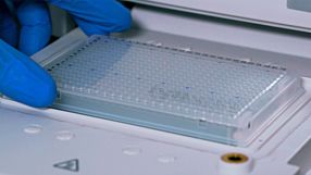 How to Set Up a hPSC Genetic Analysis Kit Experiment