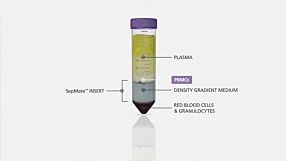 How to Use SepMate™ to Isolate PBMCs from Whole Blood in Just 15 Minutes