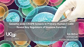 Re-imagining CRISPR Technology for Use with Primary Immune Cells: New Insights for Cell-Based Immunotherapy Research