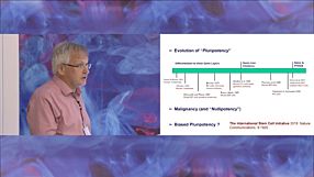 Pluripotency Tests