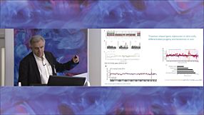 Genomic Integrity of Human Pluripotent Stem Cells