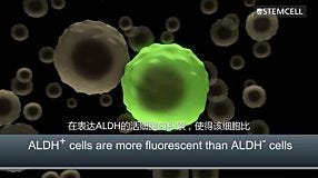 ALDEFLUOR™: Detect Normal and Cancer Precursor Cells