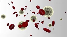 HetaSep™: A Guide to Isolating Nucleated Cells from Whole Blood