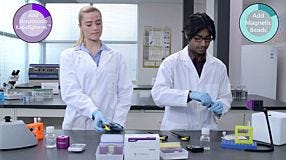 Mouse Immune Cell Isolation: Head-to-Head Protocol Comparison