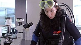 EasySep&trade; Mouse Cell Isolation Kits: How Much Time Will You Save? (Part 3)
