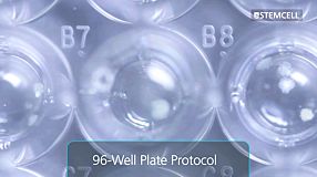 Customizable 96-Well Plate Semi-Solid Cloning Procedure for Mammalian Cells