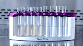 Pipetting off Samples with EasyEights™ EasySep™ Magnet