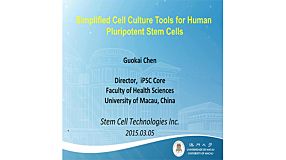 Development of Simplified and Defined Cell Culture for Human Pluripotent Stem Cells