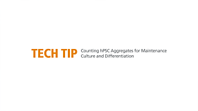 Counting hPSC Aggregates for Maintenance Culture and Differentiation