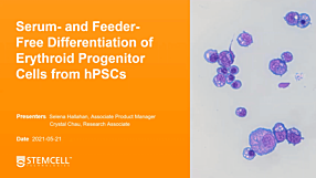 Serum- and Feeder-Free Differentiation of Erythroid Progenitor Cells from hPSCs