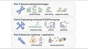 Improving Genome Editing with Enhanced CRISPR-Cas Nucleases