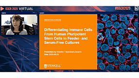 Differentiating Immune Cells from Human Pluripotent Stem Cells in Feeder- and Serum-Free Cultures