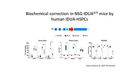 Engineering the Hematopoietic System to Treat Non-Hematological Disorders