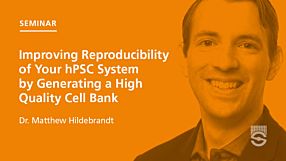 Improving Reproducibility of Your hPSC Research by Generating a High-Quality Cell Bank