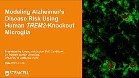 Modeling Alzheimer's risk using human TREM2-knockout microglia