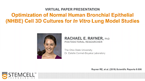 Optimization of Normal Human Bronchial Epithelial Cell 3D Cultures for In Vitro Lung Model Studies