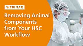 Removing Animal Components from Your HSC Workflow