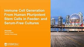 From hPSCs to Immune Cells: Immune Cell Generation from Human Pluripotent Stem Cells in Feeder- and Serum-Free Cultures