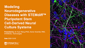 Modeling Neurodegenerative Diseases with STEMdiff™ Pluripotent Stem Cell-Derived Neural Culture Systems