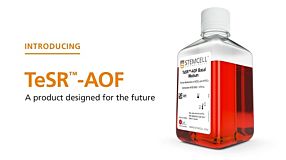 TeSR™-AOF: Designing a Product for the Future