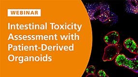 Intestinal Toxicity Assessment with Patient-Derived Organoids