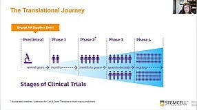From hPSCs to Immune Cells: Key Considerations for Your Translational Journey