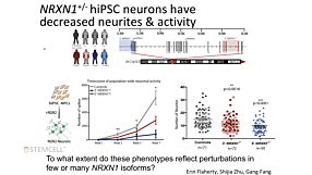 Using hiPSCs to Study Genetic Variants Linked to Schizophrenia