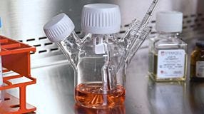 mTeSR™3D: Simplify your hPSC Suspension Culture and Scale Up