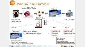 Anticipating Cytopenia: In Vitro Methods for Hematotoxicity Testing